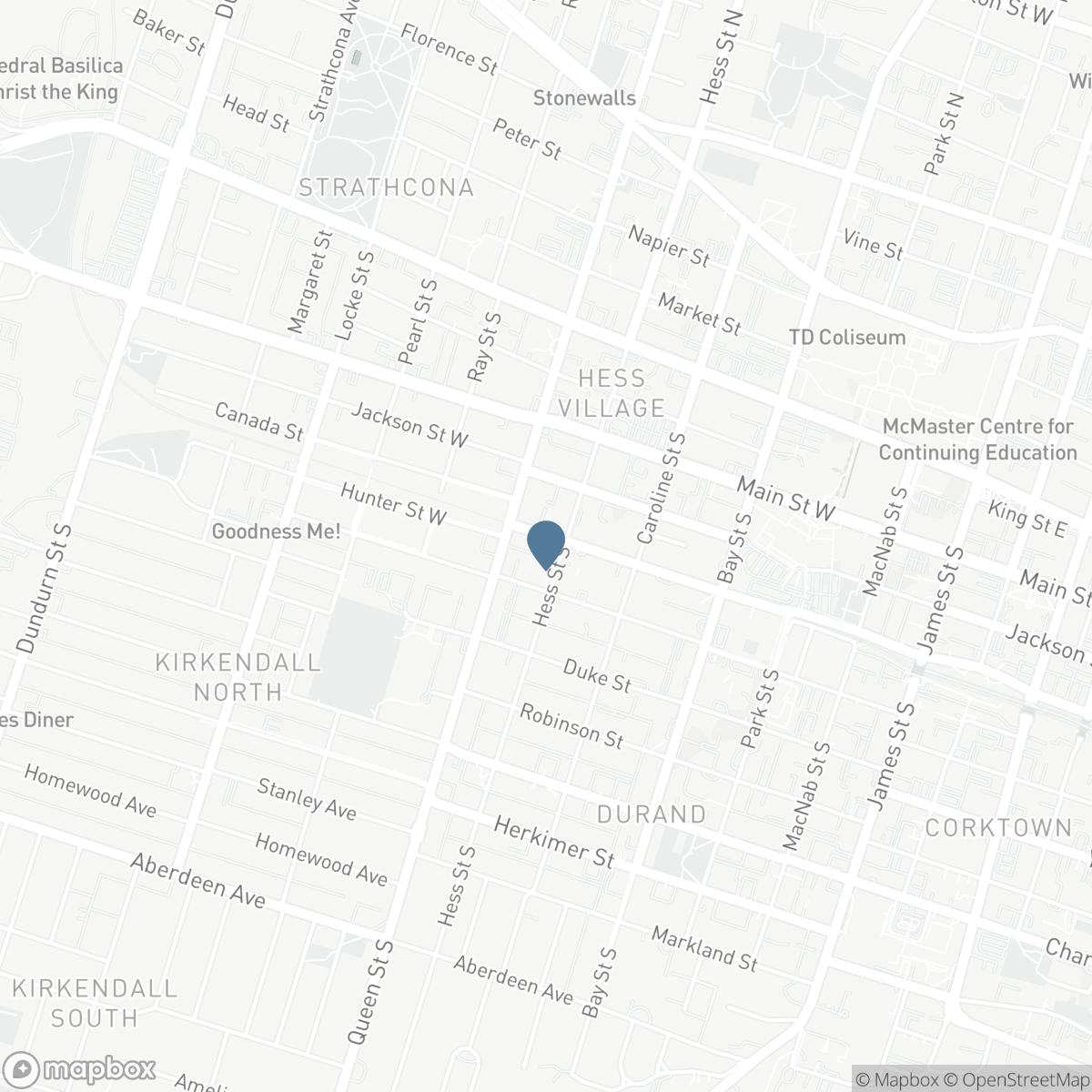 199 HUNTER Street W, Hamilton, Ontario L8P 1R7